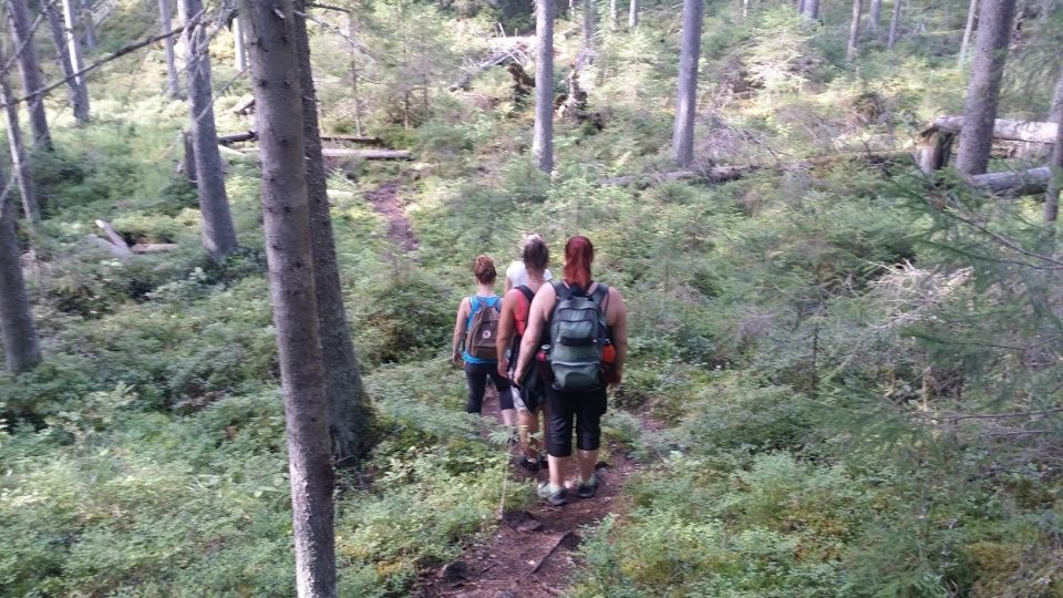 Hotel guests hiking in the woods